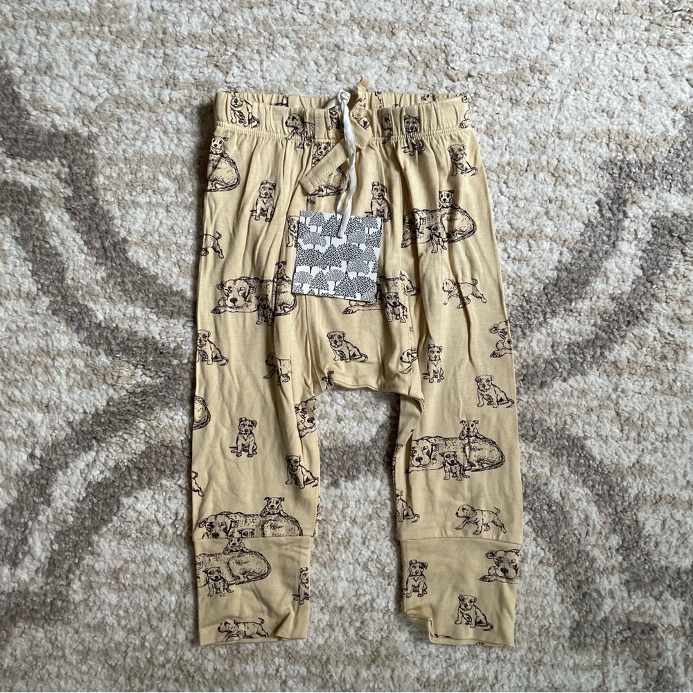 Kate Quinn panda pants